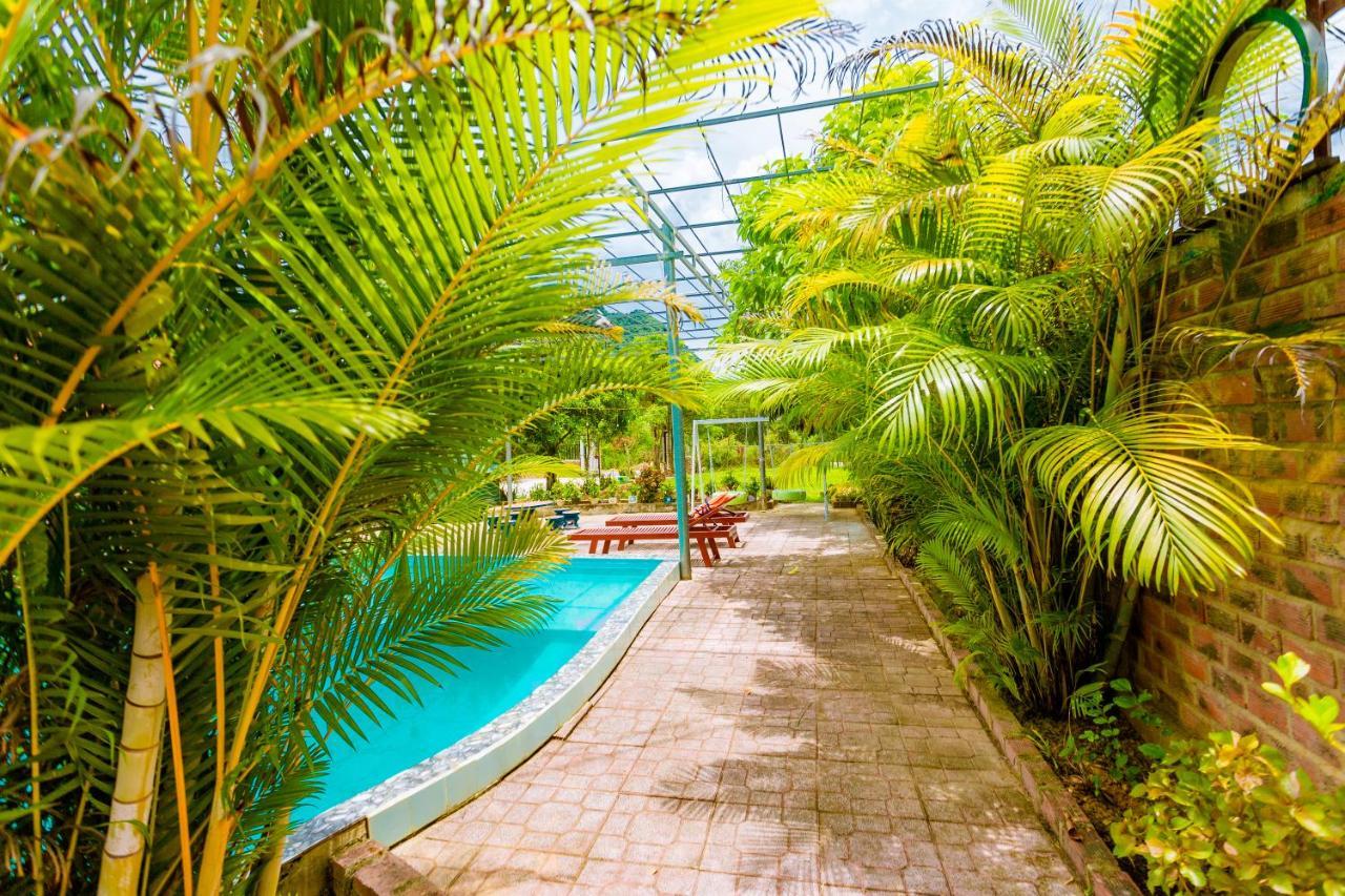 Phong Nha Amanda 2 Homestay Kültér fotó
